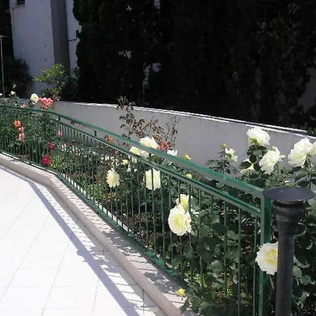 Pino Apartament